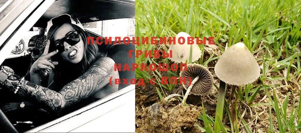 альфа пвп Нея