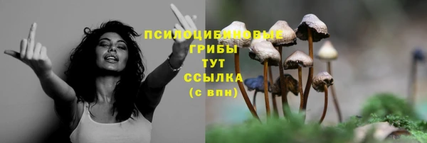 марихуана Нефтекумск