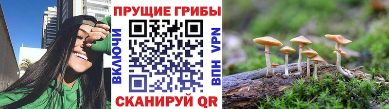 Псилоцибиновые грибы ЛСД  darknet формула  Полярные Зори  наркота 